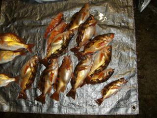 �����o��